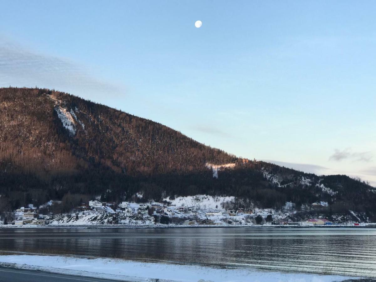 Auberge L'Amarre Mont-Louis Dış mekan fotoğraf